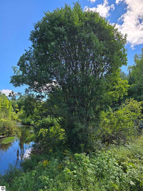 Tiny photo for 00 SW Terrace Boulevard, Kalkaska, MI 49646 (MLS # 1938058)