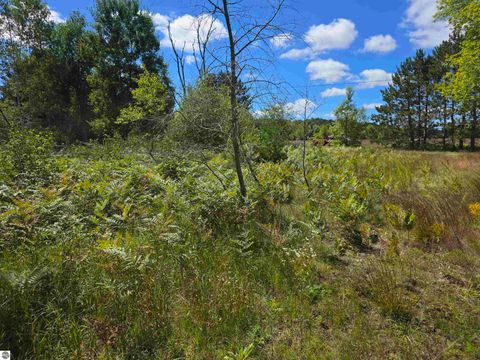 Tiny photo for 00 SW Terrace Boulevard, Kalkaska, MI 49646 (MLS # 1938058)