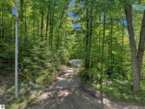 Tiny photo for 451 W 18 Road, Mesick, MI 49668 (MLS # 1951089)