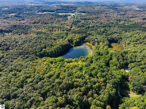 Tiny photo for 451 W 18 Road, Mesick, MI 49668 (MLS # 1951089)