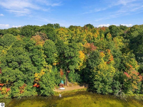 Tiny photo for 451 W 18 Road, Mesick, MI 49668 (MLS # 1951089)