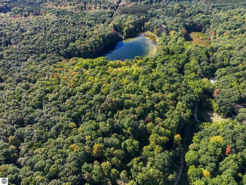 Tiny photo for 451 W 18 Road, Mesick, MI 49668 (MLS # 1951089)