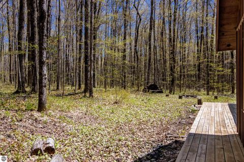 Tiny photo for 984 Cedar River Drive, Bellaire, MI 49615 (MLS # 1945331)