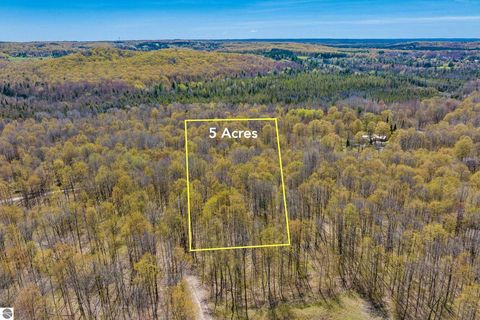 Tiny photo for 984 Cedar River Drive, Bellaire, MI 49615 (MLS # 1945331)
