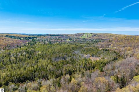 Tiny photo for 984 Cedar River Drive, Bellaire, MI 49615 (MLS # 1945331)