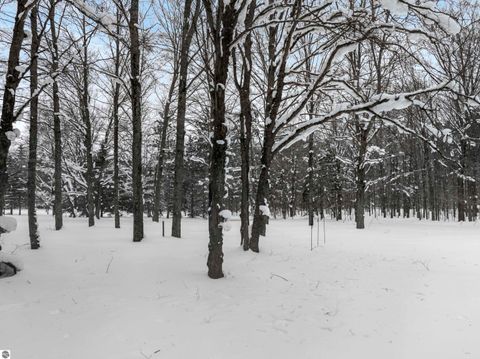 Tiny photo for 8460 NE Covert Road, Mancelona, MI 49659 (MLS # 1942493)