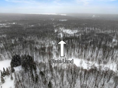 Tiny photo for 8460 NE Covert Road, Mancelona, MI 49659 (MLS # 1942493)