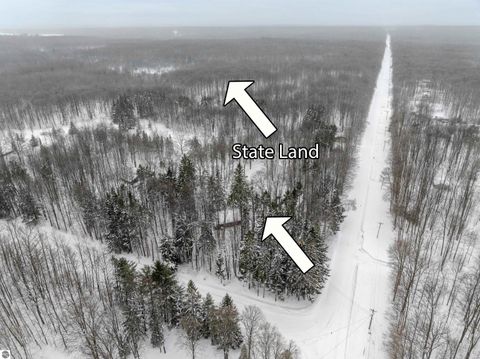 Tiny photo for 8460 NE Covert Road, Mancelona, MI 49659 (MLS # 1942493)