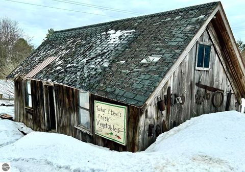 Tiny photo for 4009 Grace Road, Frankfort, MI 49635 (MLS # 1942682)