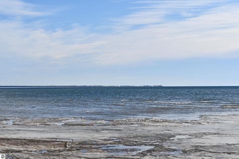 Tiny photo for 1197 S Bay Drive, Tawas City, MI 48763 (MLS # 1942895)