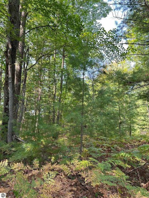 Tiny photo for 592 SE Blue Heron Drive, Kalkaska, MI 49646 (MLS # 1926842)