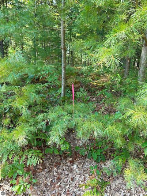 Tiny photo for 592 SE Blue Heron Drive, Kalkaska, MI 49646 (MLS # 1926842)