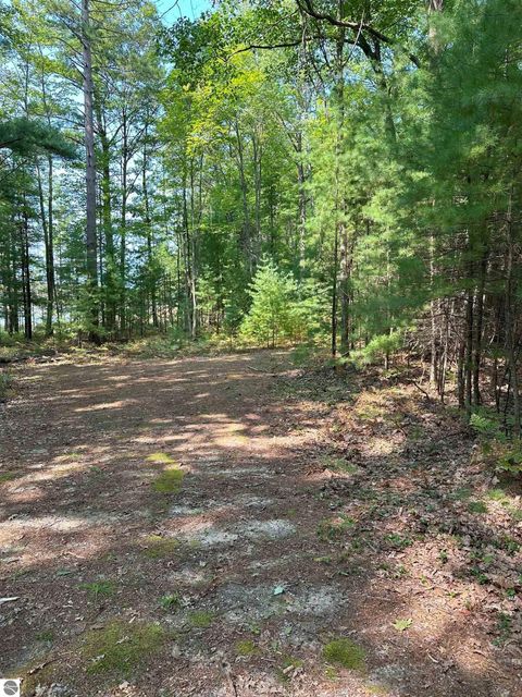 Tiny photo for 592 SE Blue Heron Drive, Kalkaska, MI 49646 (MLS # 1926842)