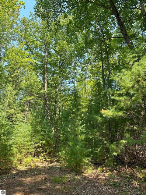 Tiny photo for 592 SE Blue Heron Drive, Kalkaska, MI 49646 (MLS # 1926842)