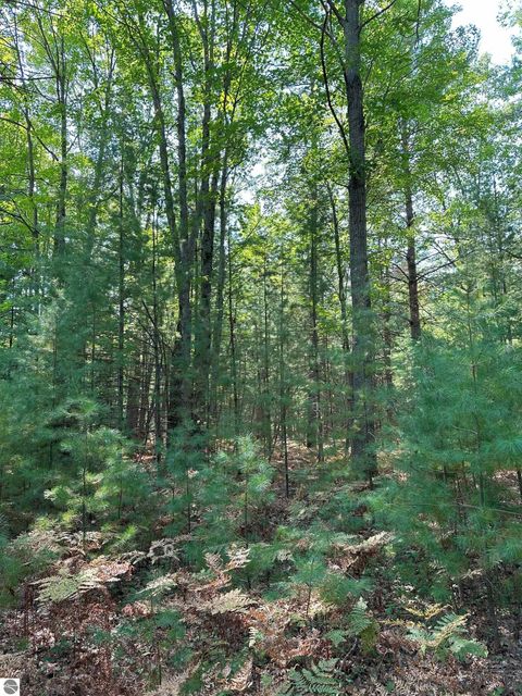 Tiny photo for 592 SE Blue Heron Drive, Kalkaska, MI 49646 (MLS # 1926842)