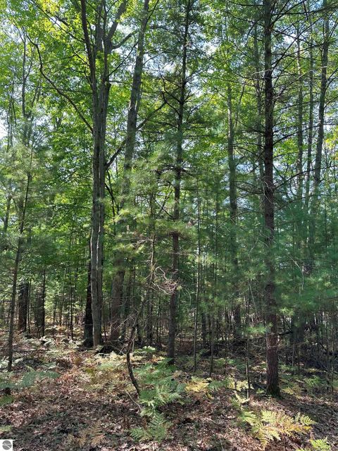 Tiny photo for 592 SE Blue Heron Drive, Kalkaska, MI 49646 (MLS # 1926842)