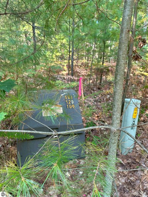 Tiny photo for 592 SE Blue Heron Drive, Kalkaska, MI 49646 (MLS # 1926842)