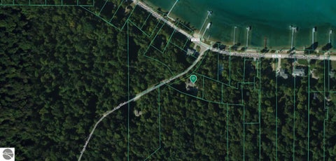 Tiny photo for 1667 Figg Road, Frankfort, MI 49635 (MLS # 1950226)