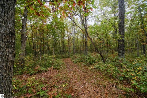Tiny photo for 5842 Caberfae Highway, Manistee, MI 49660 (MLS # 1951760)