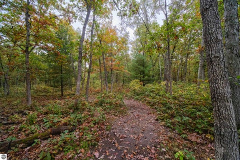 Tiny photo for 5842 Caberfae Highway, Manistee, MI 49660 (MLS # 1951760)