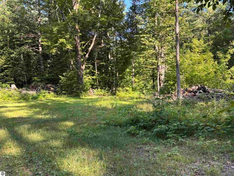 Tiny photo for 6493 Plainfield Trail, Elmira, MI 49730 (MLS # 1949070)
