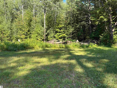 Tiny photo for 6493 Plainfield Trail, Elmira, MI 49730 (MLS # 1949070)