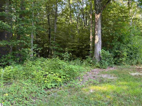 Tiny photo for 6493 Plainfield Trail, Elmira, MI 49730 (MLS # 1949070)