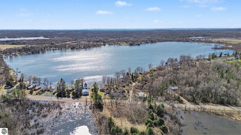 Tiny photo for 5986 Birchwood Drive, Hale, MI 48739 (MLS # 1943826)