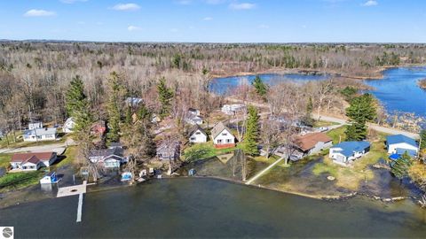 Tiny photo for 5986 Birchwood Drive, Hale, MI 48739 (MLS # 1943826)