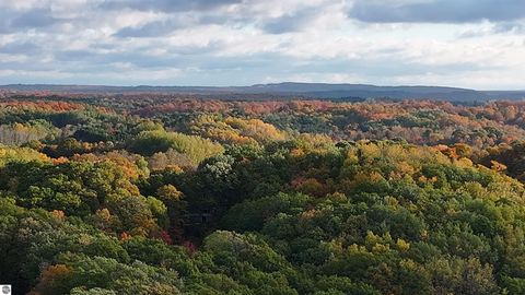 Tiny photo for 4290 Johnson Road, Frankfort, MI 49635 (MLS # 1943365)