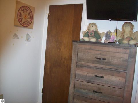 Tiny photo for 3741 S Shepherd Road, Mt Pleasant, MI 48858 (MLS # 1942973)