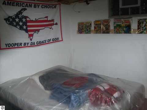 Tiny photo for 3741 S Shepherd Road, Mt Pleasant, MI 48858 (MLS # 1942973)