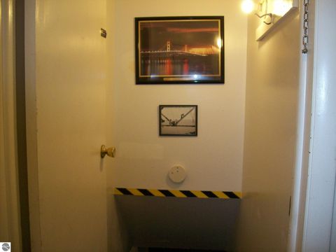 Tiny photo for 3741 S Shepherd Road, Mt Pleasant, MI 48858 (MLS # 1942973)