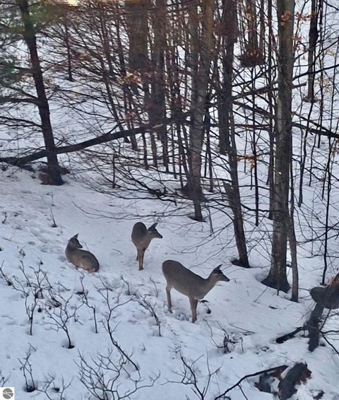 Tiny photo for 2400 Troon South #4213, Bellaire, MI 49615 (MLS # 1941690)