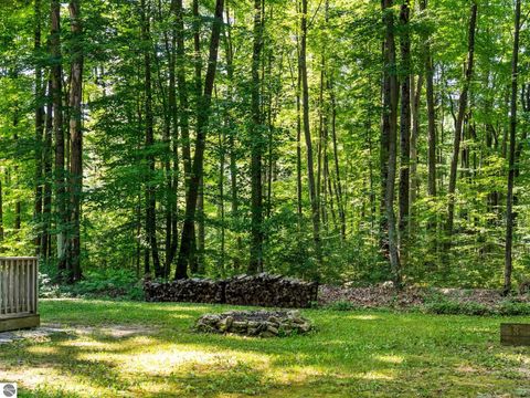 Tiny photo for 5251 E Shore Drive, Kalkaska, MI 49646 (MLS # 1947854)