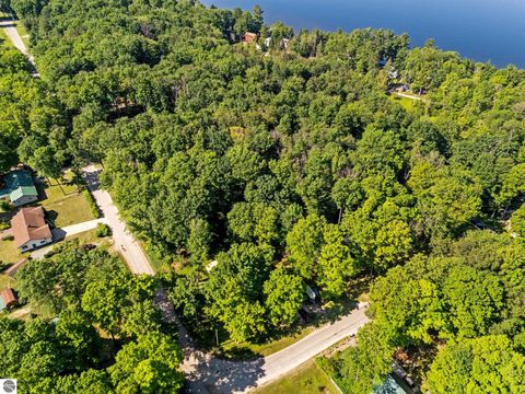 Tiny photo for 5251 E Shore Drive, Kalkaska, MI 49646 (MLS # 1947854)