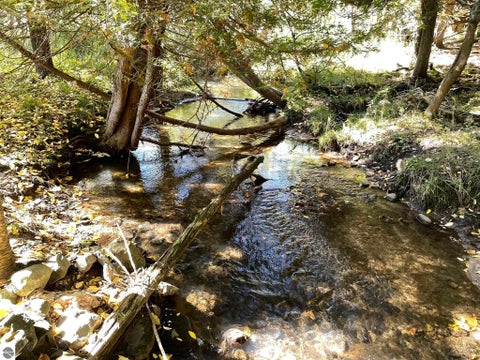 Tiny photo for 1542 Campbell Road, Rose City, MI 48654 (MLS # 1951350)