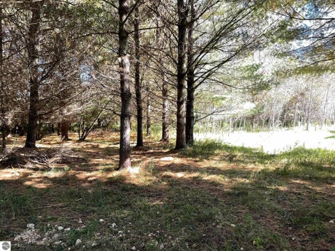 Tiny photo for 1542 Campbell Road, Rose City, MI 48654 (MLS # 1951350)