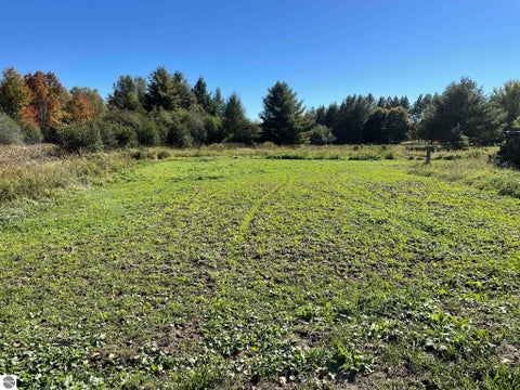 Tiny photo for 1542 Campbell Road, Rose City, MI 48654 (MLS # 1951350)