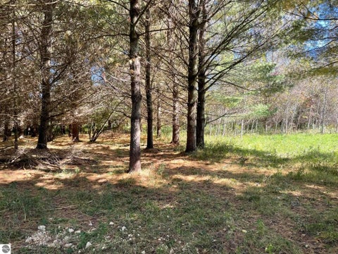 Tiny photo for 1542 Campbell Road, Rose City, MI 48654 (MLS # 1951350)