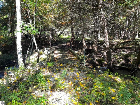 Tiny photo for 1542 Campbell Road, Rose City, MI 48654 (MLS # 1951350)