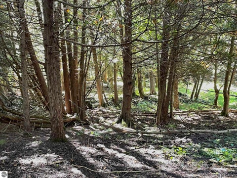 Tiny photo for 1542 Campbell Road, Rose City, MI 48654 (MLS # 1951350)