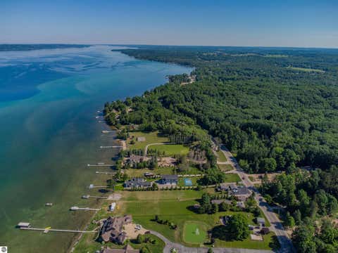 Tiny photo for TBD SE Torch Lake Drive, Alden, MI 49612 (MLS # 1946076)