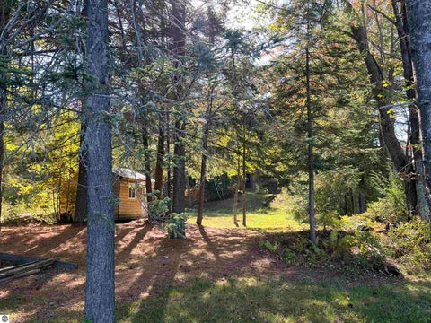 Tiny photo for 5532 Kerbysons Drive SE, Kalkaska, MI 49646 (MLS # 1950056)