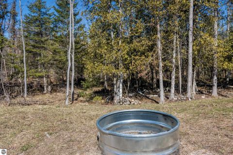 Tiny photo for 9276 S Flaska Drive #10, Cedar, MI 49621 (MLS # 1943832)