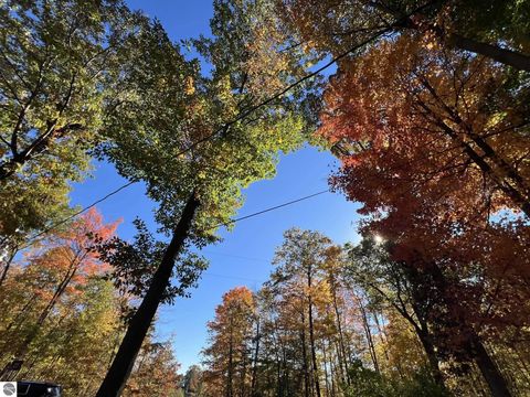 Tiny photo for 6240 Terry Drive, Six Lakes, MI 48886 (MLS # 1943119)