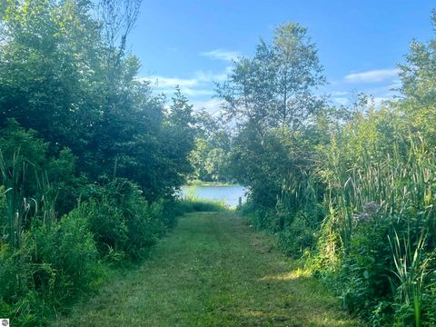 Tiny photo for 6240 Terry Drive, Six Lakes, MI 48886 (MLS # 1943119)