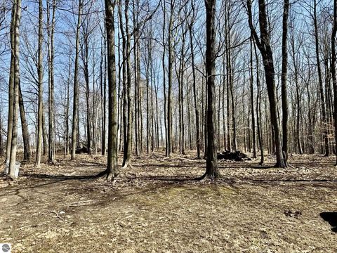 Tiny photo for 6240 Terry Drive, Six Lakes, MI 48886 (MLS # 1943119)