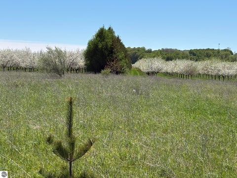 Tiny photo for 00 N Stony Point Road, Suttons Bay, MI 49682 (MLS # 1949082)