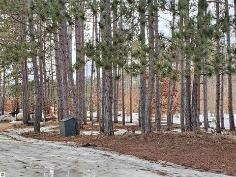 Tiny photo for 11756 SW Coster Road, Fife Lake, MI 49633 (MLS # 1942796)